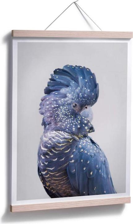 Actual product image Trenddeko Blue cockatoo (60 x 80 cm)