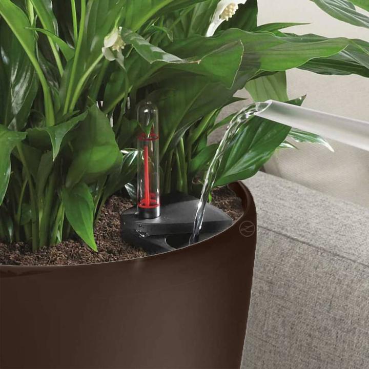 Image du produit Lechuza Classico (28.50 cm)