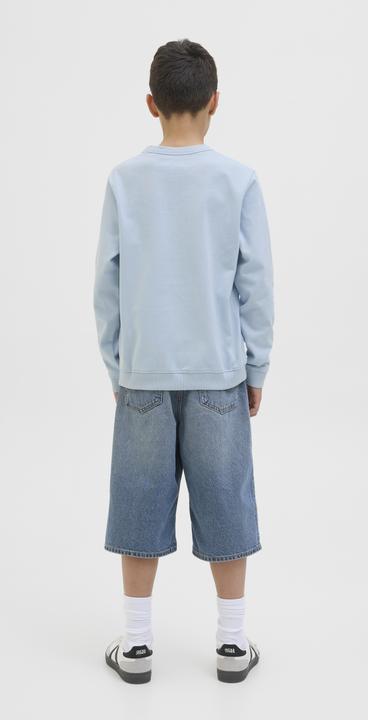 Produktbild Jack & Jones Gedruckt Sweatshirt Junior Sweatshirt (152)