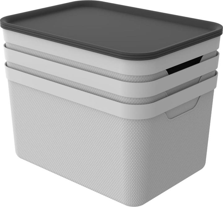 Produktbild Rotho Jive (36.5 x 26.5 x 20 cm, 18 l)