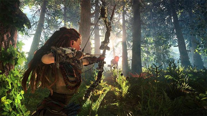 Actual product image Sony Horizon Zero Dawn: Complete Edition (PS4, EN, IT)