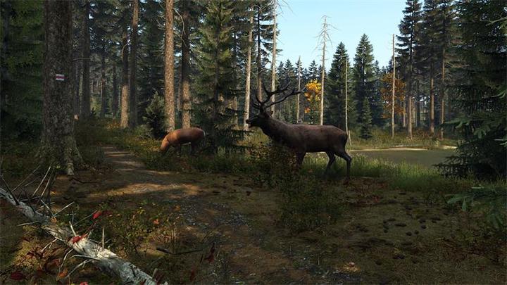 Immagine prodotto Sold Out DayZ (PS4, DE)