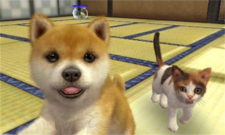 Image du produit Nintendo Nintendogs Cats : Caniches nains (3DS, DE)