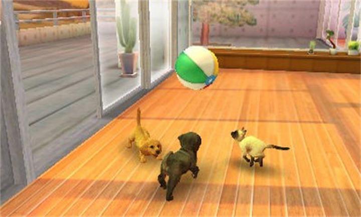 Image du produit Nintendo Nintendogs Cats : Caniches nains (3DS, DE)