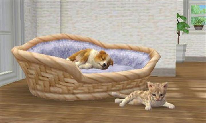 Actual product image Nintendo Nintendogs + Cats: Golden Retriever (3DS, Multilingual)