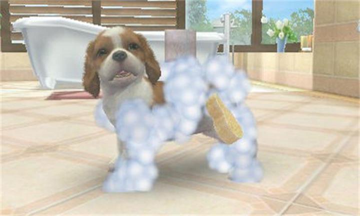 Actual product image Nintendo Nintendogs + Cats: Golden Retriever (3DS, Multilingual)