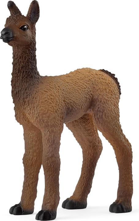 Produktbild Schleich Lama Fohlen