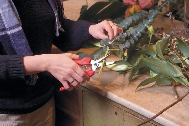 Actual product image Felco flower/fruit scissors