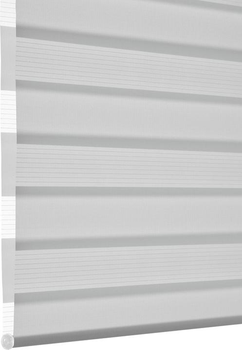 Produktbild Deco Company Doppelrollo (100 x 150 cm)