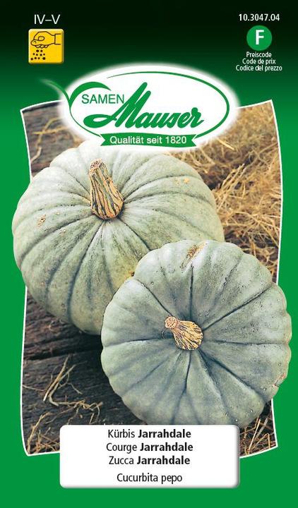 Citrouille Jarrahdale (Graines de légumes)