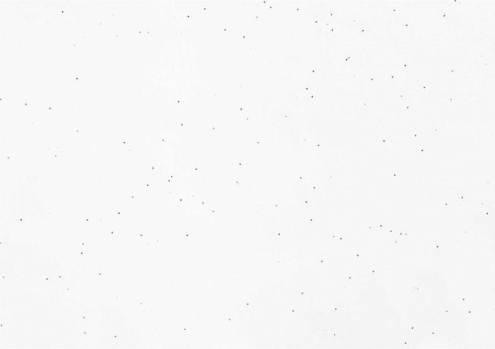 Immagine prodotto Rico Design Rico Carta creativa, carta di cotone con semi di basilico (200 g/m²)