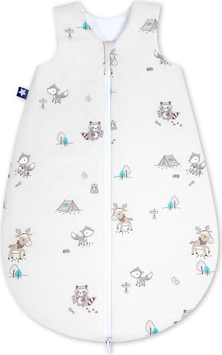 Image du produit Julius Zöllner élan et renard (74 cm)