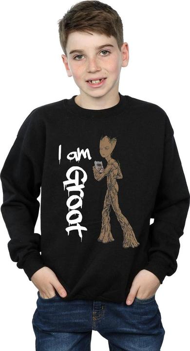 Actual product image Boys Avengers Infinity War Graffiti Groot Sweatshirt (152, 158)