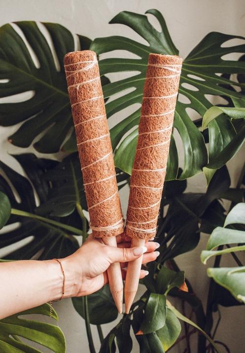 Actual product image Classy Casita Coconut rods climbing aids (160 cm)