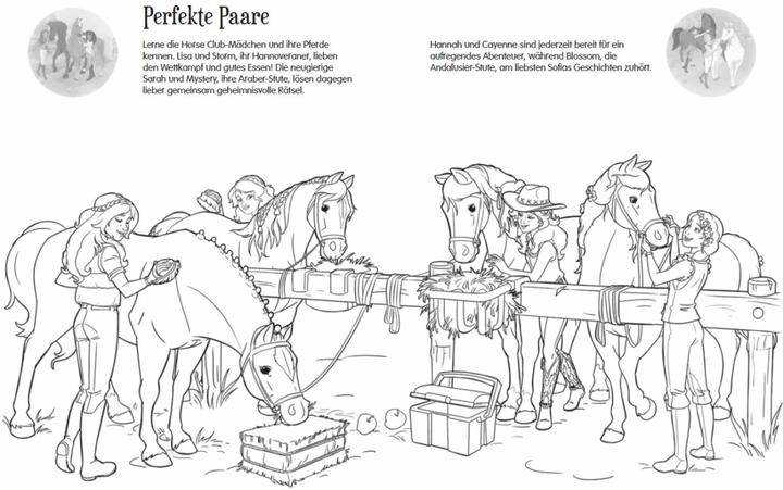 Produktbild Schleich Horse Club Sticker-Malspass (Deutsch, Ameet Studio, 2019)