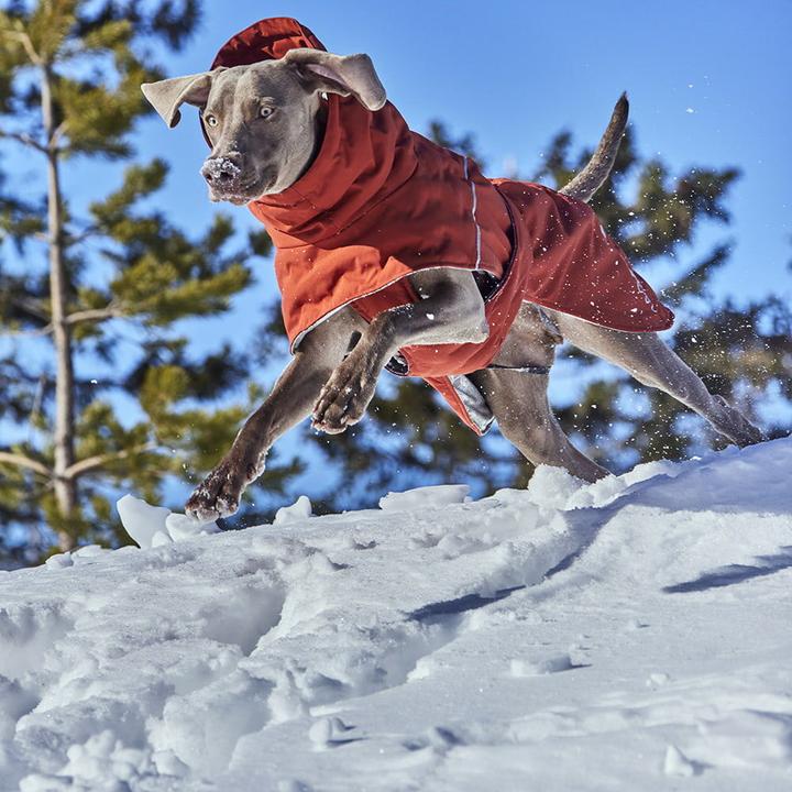 Immagine prodotto Hurtta Extreme Warmer V3 Eco Blue, 55 cm (55, Cappotto per cani)