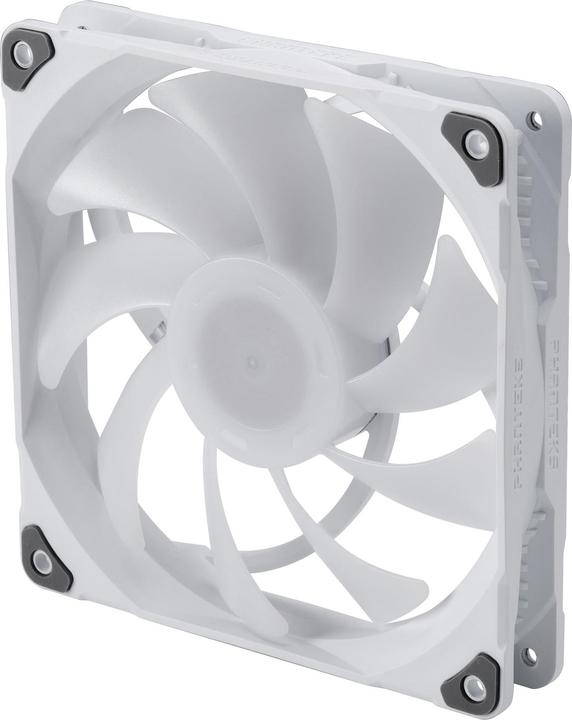 Immagine prodotto Phanteks Ventola M25 PWM D-RGB, confezione da 3 - 140 mm, bianca (140 mm, 3 x)