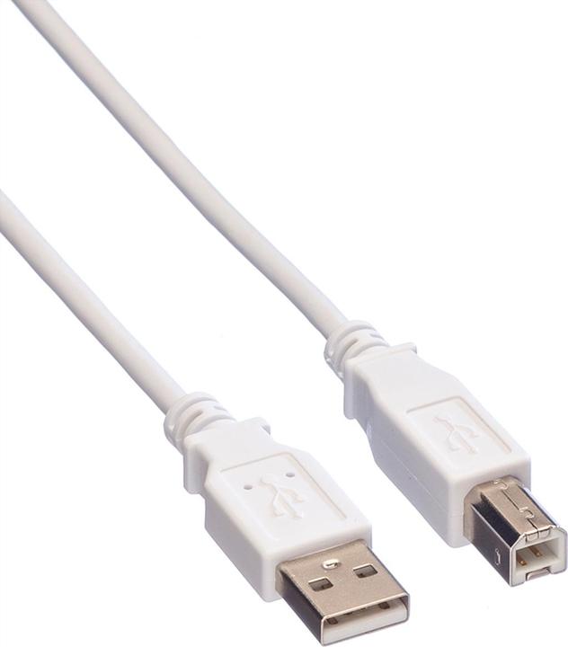 Value USB A — USB B (0.80 m, USB 2.0)