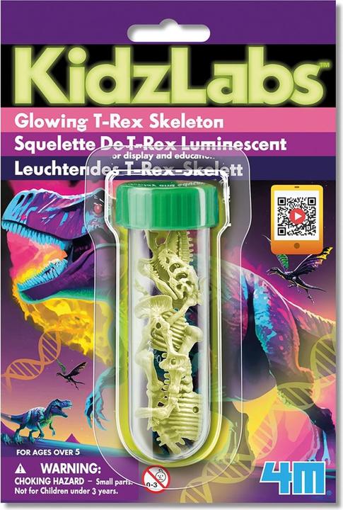 Immagine prodotto 4M Scheletro luminoso di T-Rex (Tedesco, Francese, Inglese)