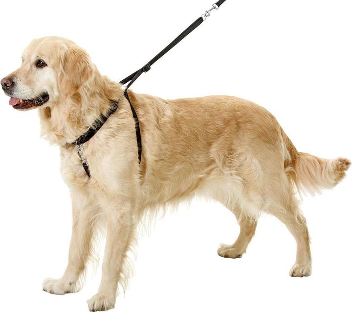 Actual product image Karlie Easy Walker (L, Dog, Walks)
