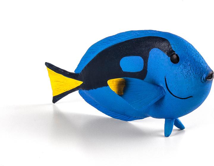 Animal Planet Pallet doctor fish
