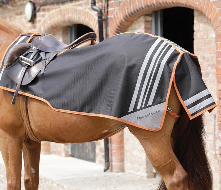 Actual product image Premier Equine Stratus Exercise Sheet