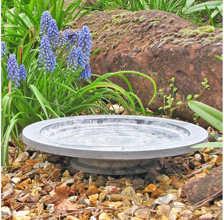 Immagine prodotto Wildlife World Bagno per uccelli Oasis 30 x 30 x 5,5 cm