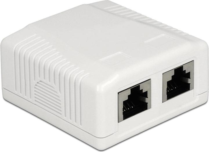 Delock Alloggiamento RJ-45 Cat.6A: 2 porte (Accessori di rete)