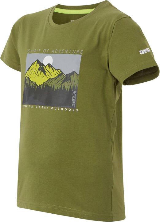Actual product image Regatta Childrens/Kids Bosley VIII Mountain T-Shirt (170, 176)