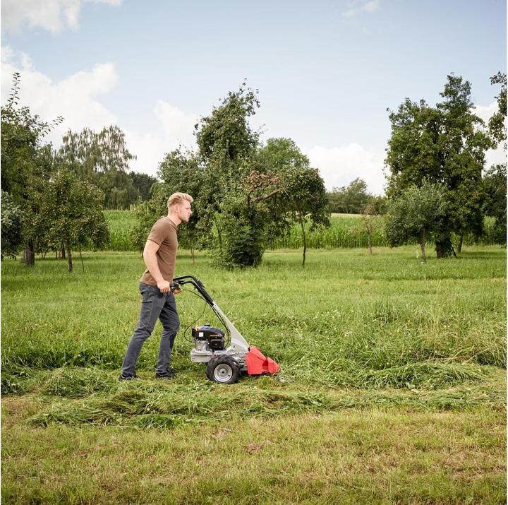 Actual product image AL-KO Balkenmäher BM 875 IV (Petrol)