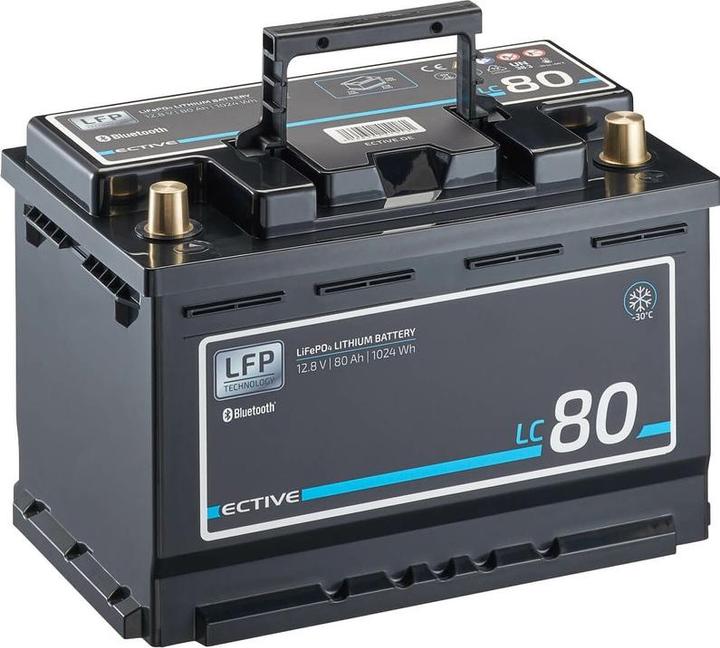 Immagine prodotto Ective 12V 80Ah LiFePo4 Batteria di alimentazione Batteria al litio BMS Camper LFP LT (12 V, 80 Ah)