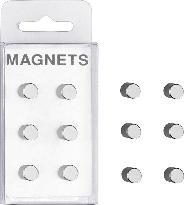 Zeller Present Magneet set (6 x)