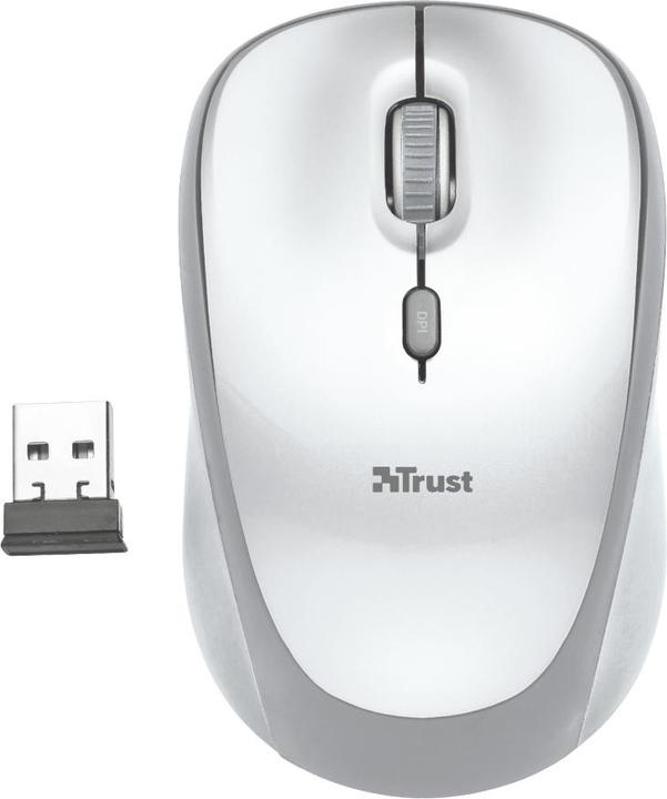 Actual product image Trust Yvi Wireless Mouse white (Wireless)