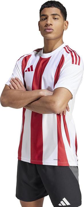 Actual product image adidas Striped 24 Jersey (L)