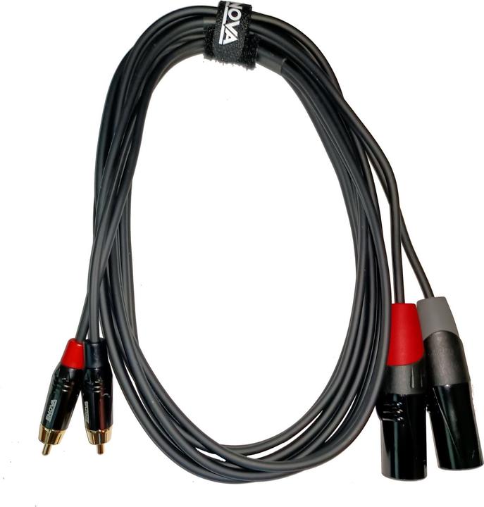 Actual product image Enova 2in1 (1 m, XLR, Cinch)