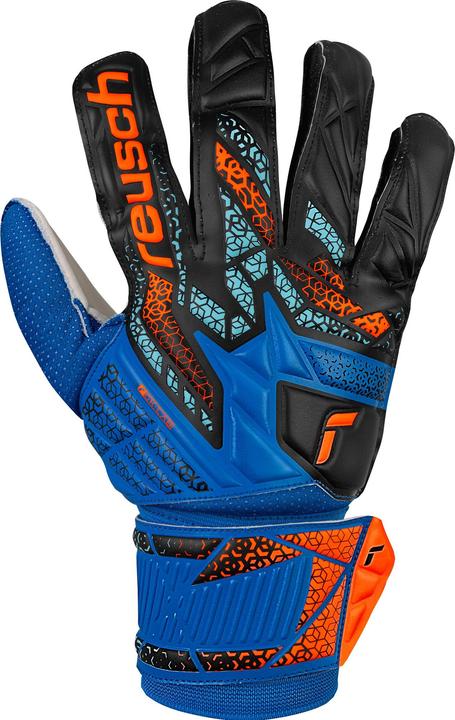 Black/Blue