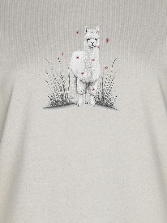 Produktbild Chillaz Klettershirt Alpaca Meadow (40, L)