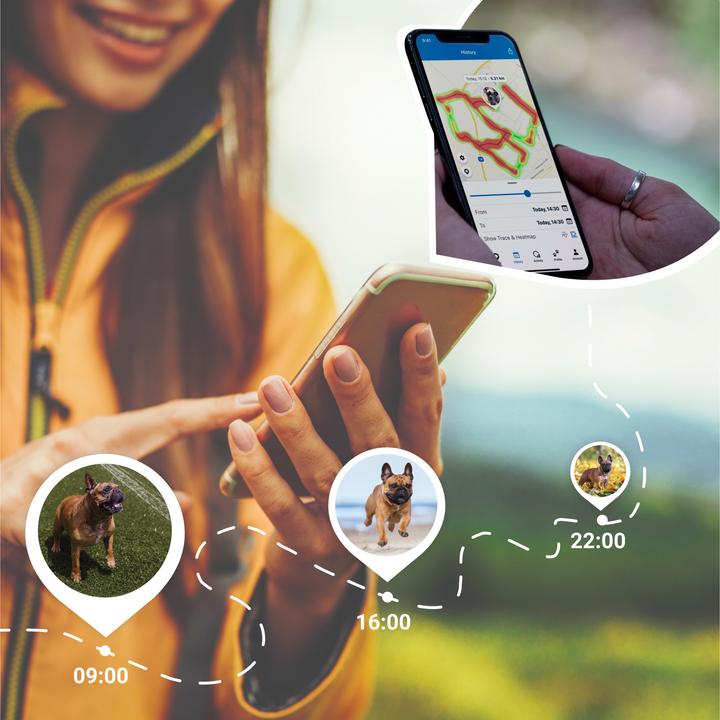 Produktbild Tractive Dog 4 GPS Tracker für Hunde (One Size, Hund, Allgemein)