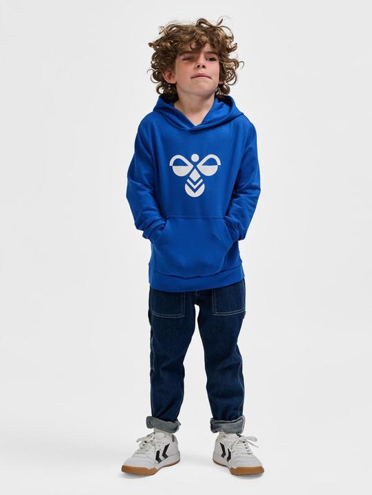 Actual product image hummel hmlCUATRO HOODIE (128)