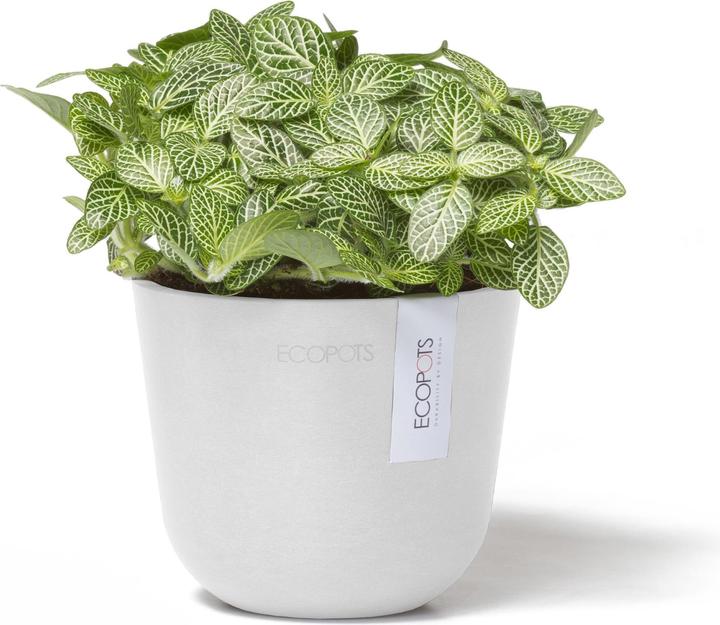 Produktbild Ecopots Oslo Mini (16 cm)