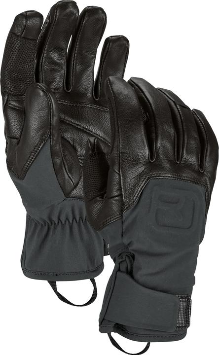 Image du produit Ortovox Gant Alpine Pro (L)