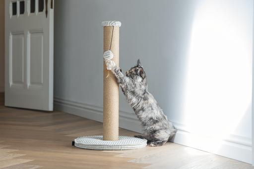 Actual product image Designed by Lotte Scratching post (70 cm, Light grey)