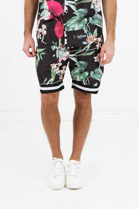 Sixth June hort ixth june tropical (S)