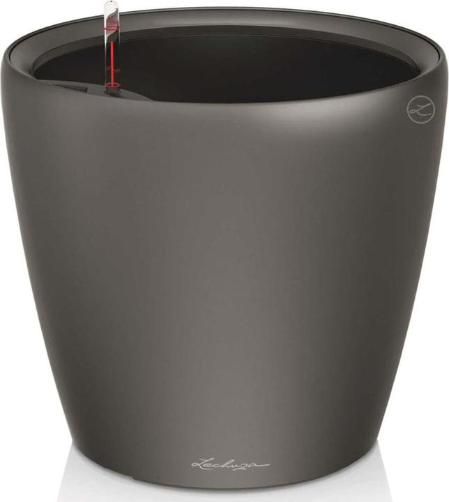 Image du produit Lechuza Classico (36 cm)