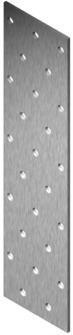 Arras NAIL PLATE 120X40X2.0 (100) (100 Stk.)