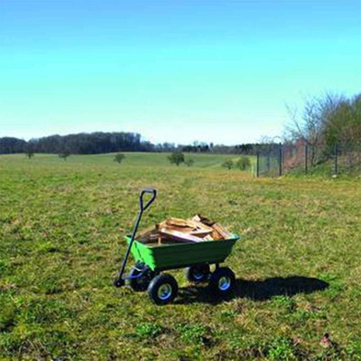 Actual product image Güde GGW 250 (250 kg)