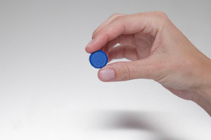 Produktbild Maul FacetterandMagnet MAULpro assortiert (20 x)