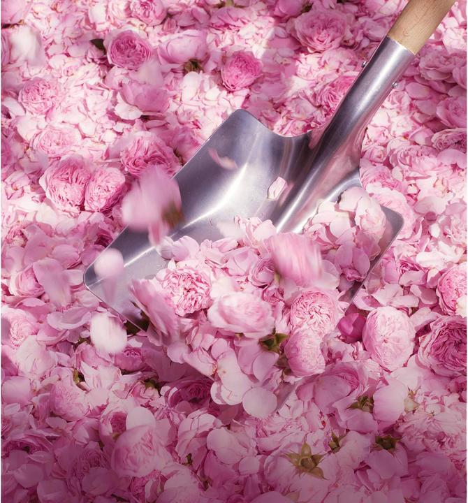 Image du produit Dior Miss (Brume corporelle, 100 ml)