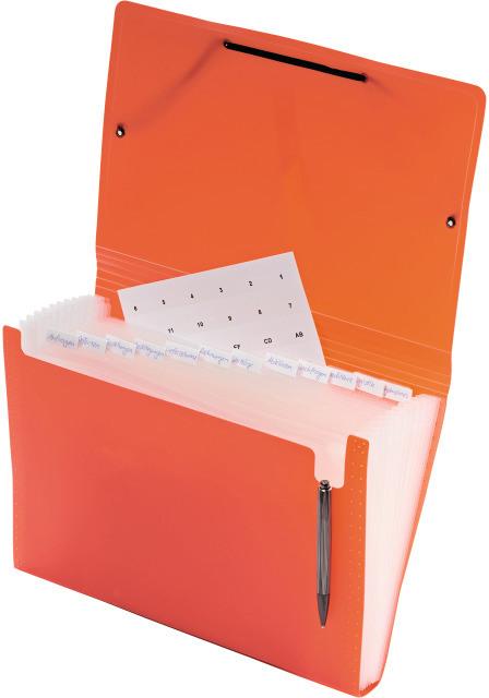 Immagine prodotto Kolma Cartella a scomparti Easy A4 media 12 schede arcobaleno (A4, 1 x)