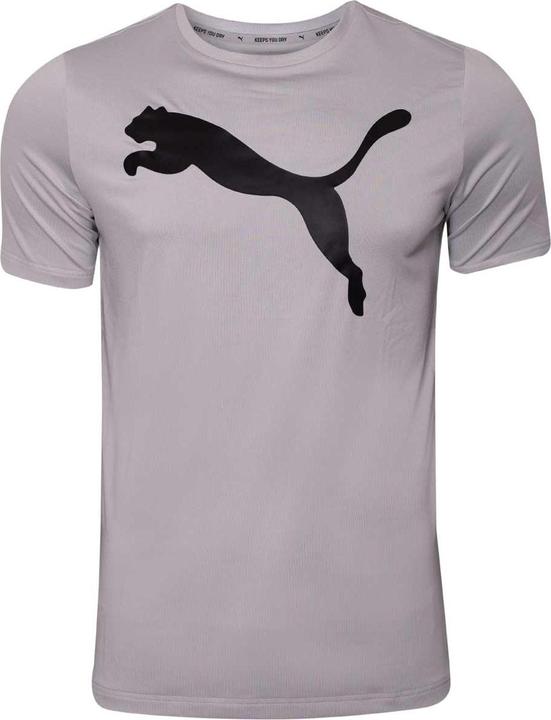 Produktbild Puma Active Big Logo Tee Grey Violet 586724 09 L (L)